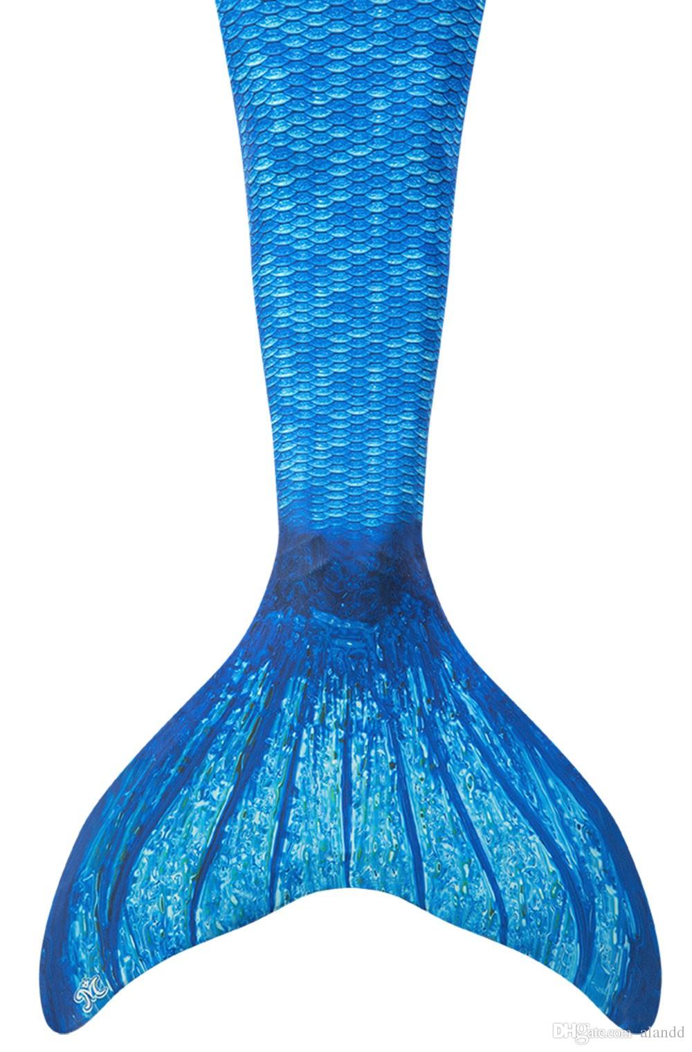 Traditional Fins